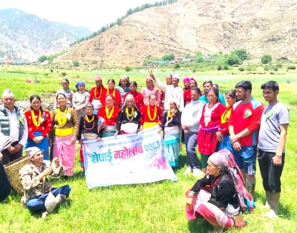 ​विश्वकै उच्च स्थानमा धान रोपाइँ: जुम्लाको छुमचौरमा ‘मार्सी महोत्सव’ सुरु